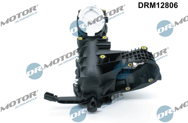 Dr.Motor Automotive Inlaatspruitstuk module DRM12806