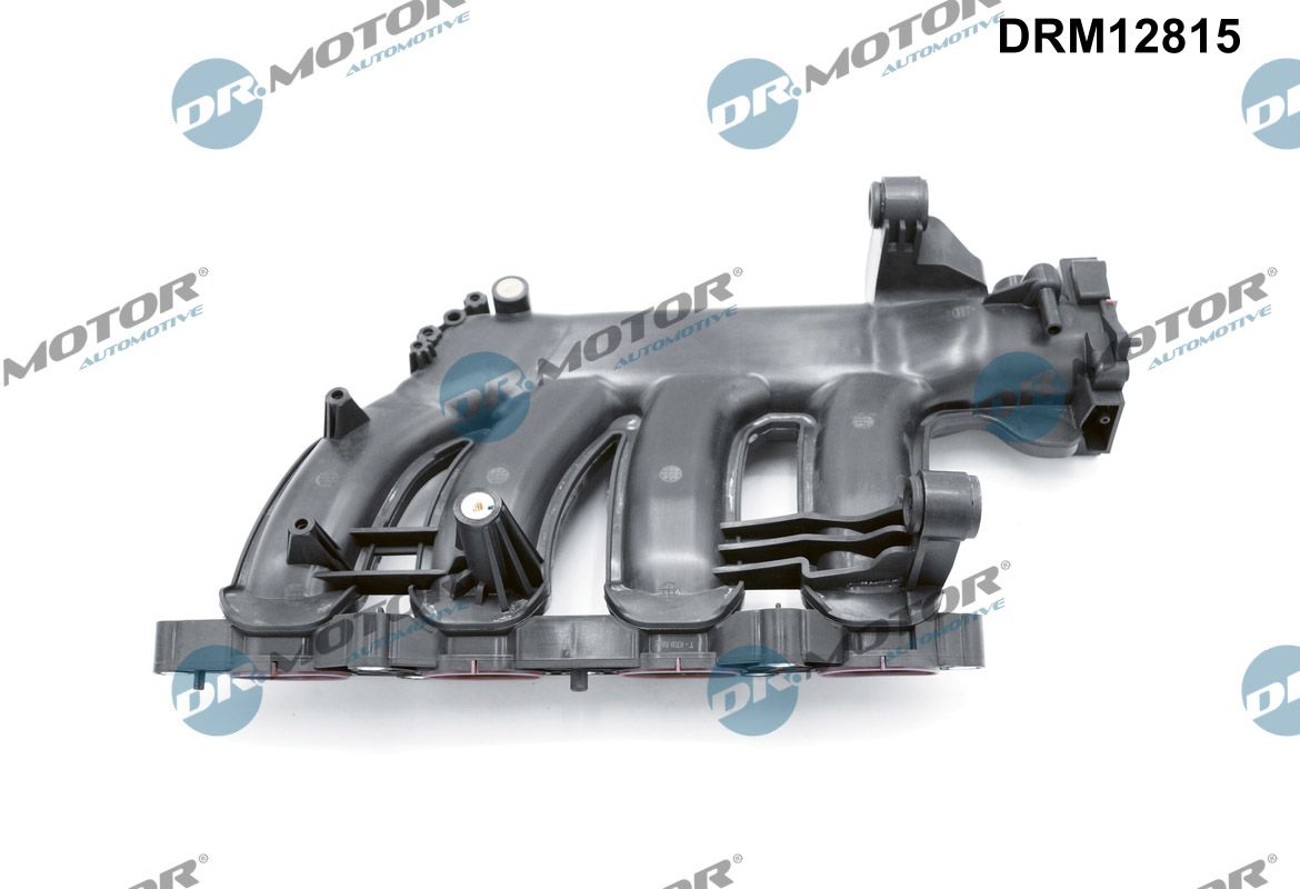 Dr.Motor Automotive Inlaatspruitstuk module DRM12815