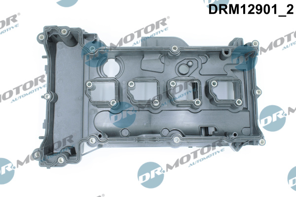 Dr.Motor Automotive Kleppendeksel DRM12901