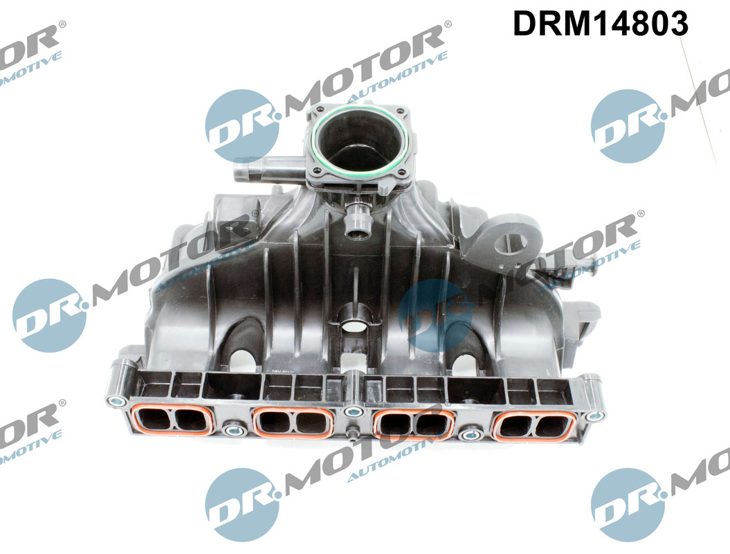 Dr.Motor Automotive Inlaatspruitstuk module DRM14803