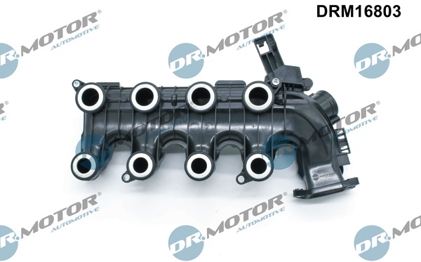 Dr.Motor Automotive Inlaatspruitstuk module DRM16803