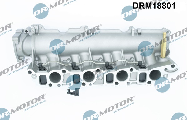 Dr.Motor Automotive Inlaatspruitstuk module DRM18801