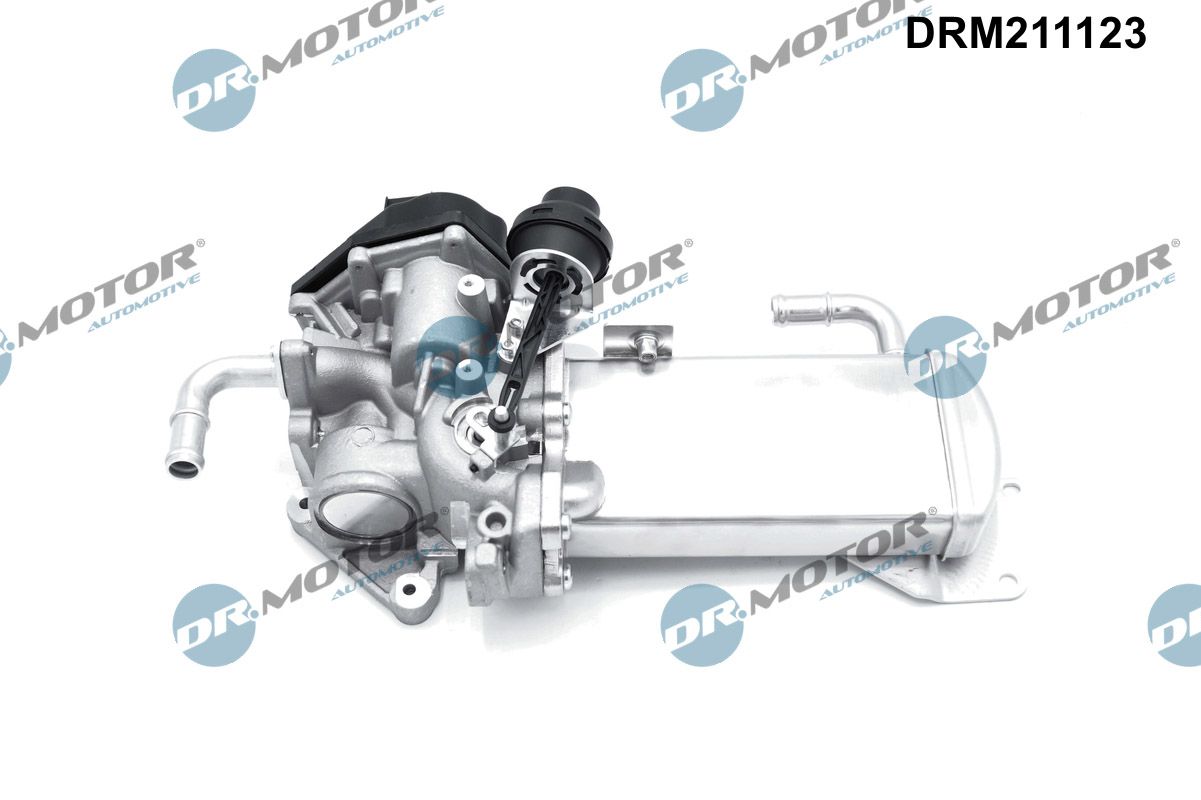 Dr.Motor Automotive EGR-klep DRM211123