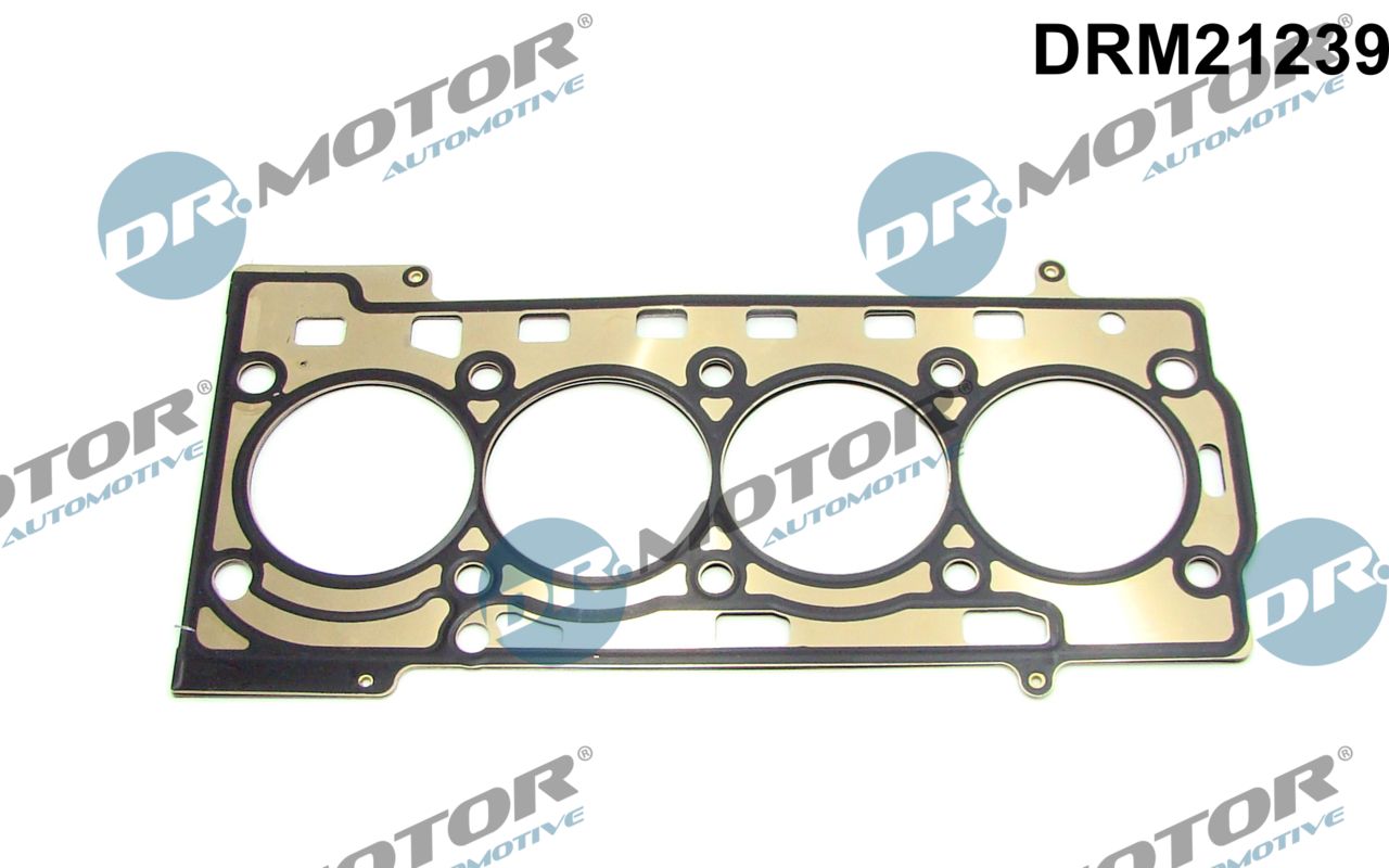 Cilinderkop pakking Dr.Motor Automotive DRM21239