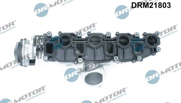 Dr.Motor Automotive Inlaatspruitstuk module DRM21803