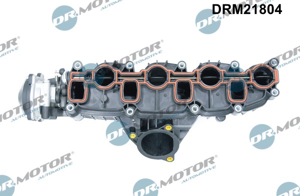 Dr.Motor Automotive Inlaatspruitstuk module DRM21804