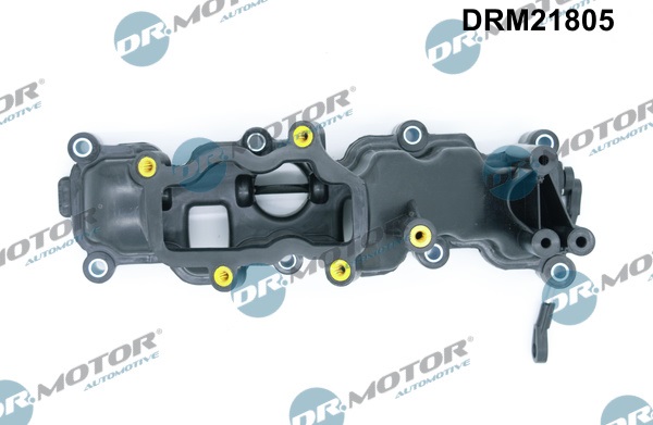 Dr.Motor Automotive Inlaatspruitstuk module DRM21805