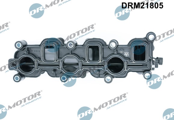 Dr.Motor Automotive Inlaatspruitstuk module DRM21805