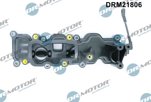 Dr.Motor Automotive Inlaatspruitstuk module DRM21806