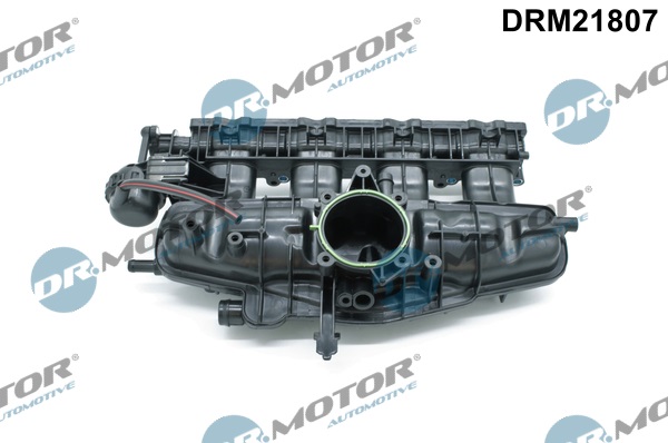 Dr.Motor Automotive Inlaatspruitstuk module DRM21807