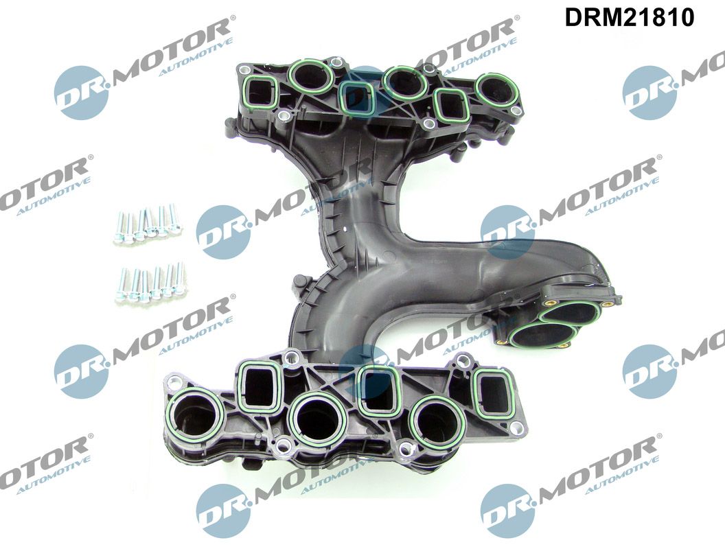 Dr.Motor Automotive Inlaatspruitstuk module DRM21810