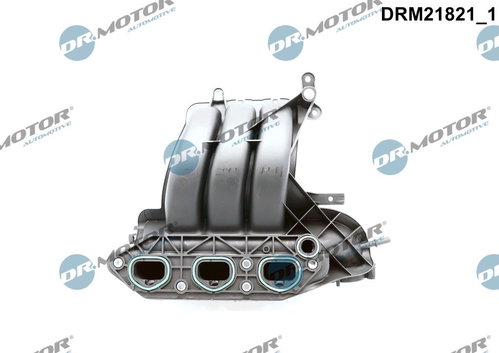 Dr.Motor Automotive Inlaatspruitstuk module DRM21821