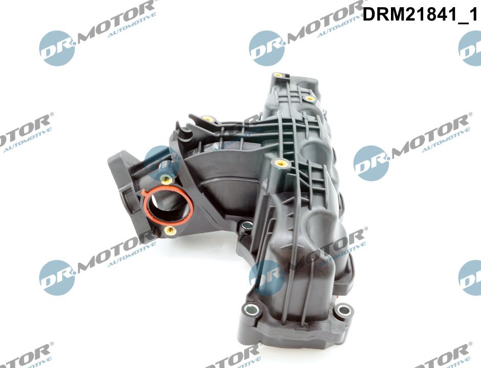 Dr.Motor Automotive Inlaatspruitstuk module DRM21841