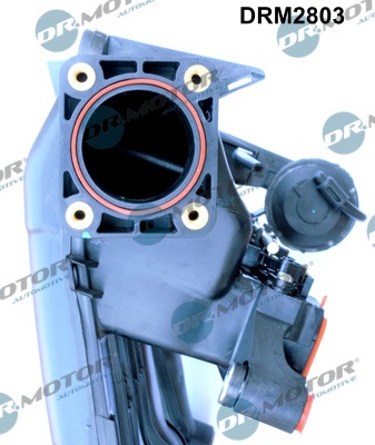 Dr.Motor Automotive Inlaatspruitstuk module DRM2803