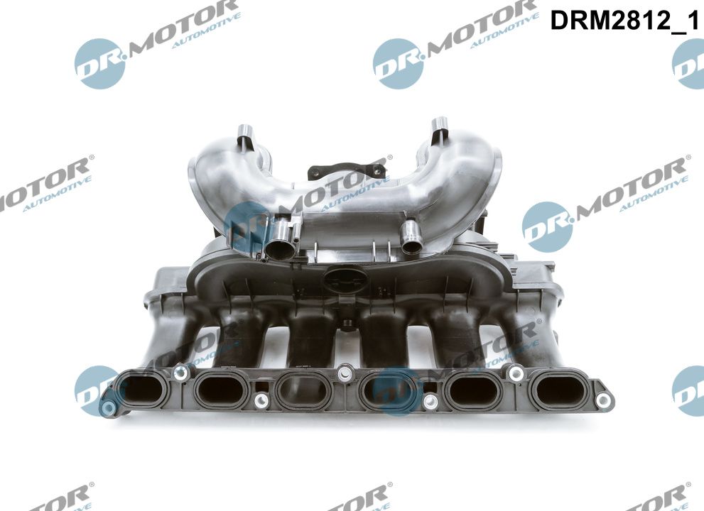 Dr.Motor Automotive Inlaatspruitstuk module DRM2812