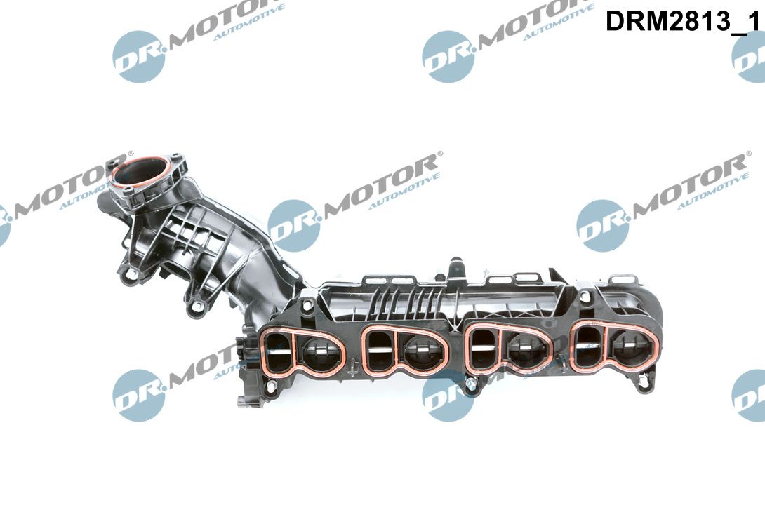 Dr.Motor Automotive Inlaatspruitstuk module DRM2813