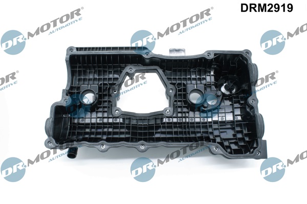 Dr.Motor Automotive Kleppendeksel DRM2919