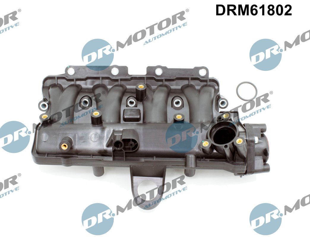 Dr.Motor Automotive Inlaatspruitstuk module DRM61802