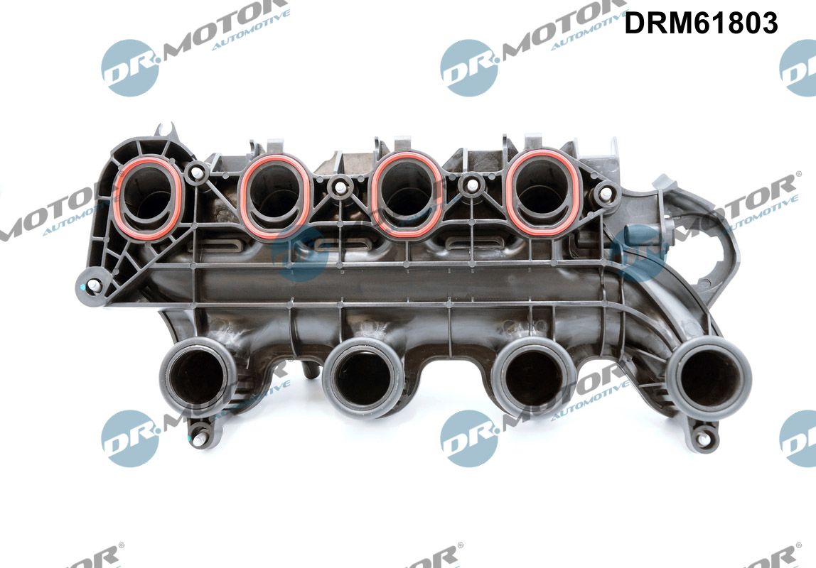 Dr.Motor Automotive Inlaatspruitstuk module DRM61803