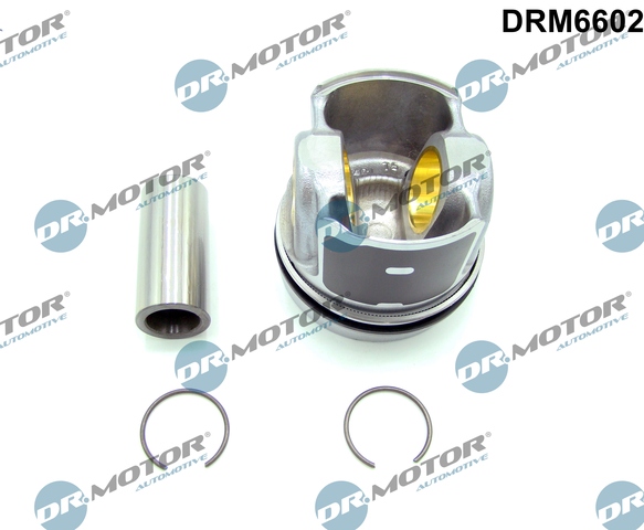 Complete Motor Dr.Motor Automotive DRM6602