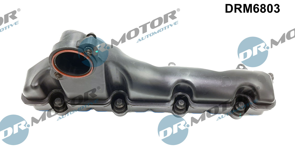 Dr.Motor Automotive Inlaatspruitstuk module DRM6803
