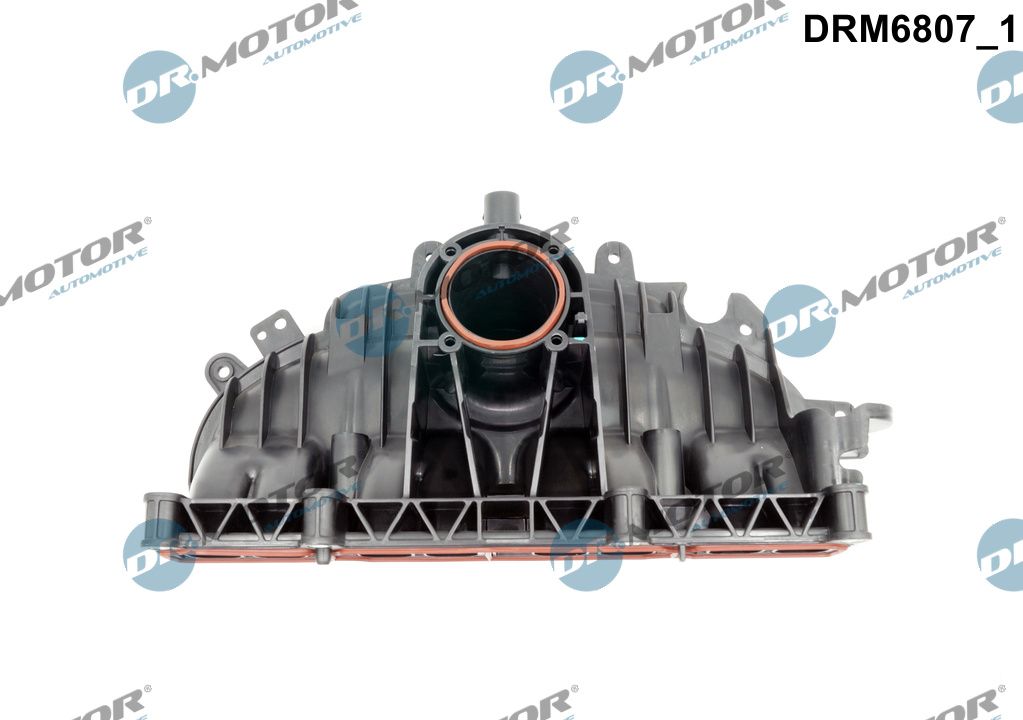 Dr.Motor Automotive Inlaatspruitstuk module DRM6807