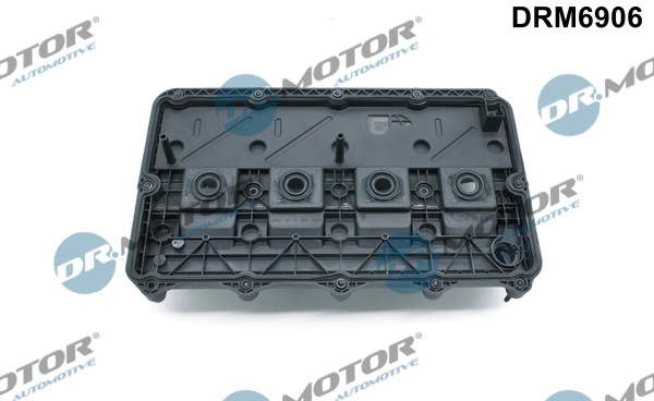 Dr.Motor Automotive Kleppendeksel DRM6906