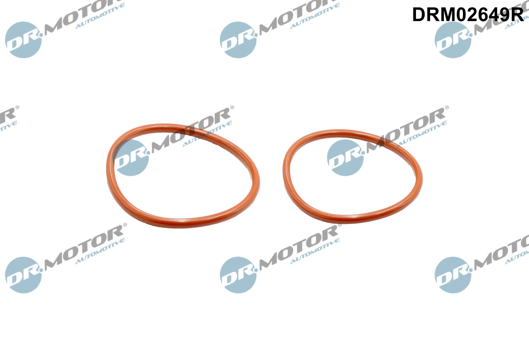 Dichtring, laadluchtslang Dr.Motor Automotive DRM02649R