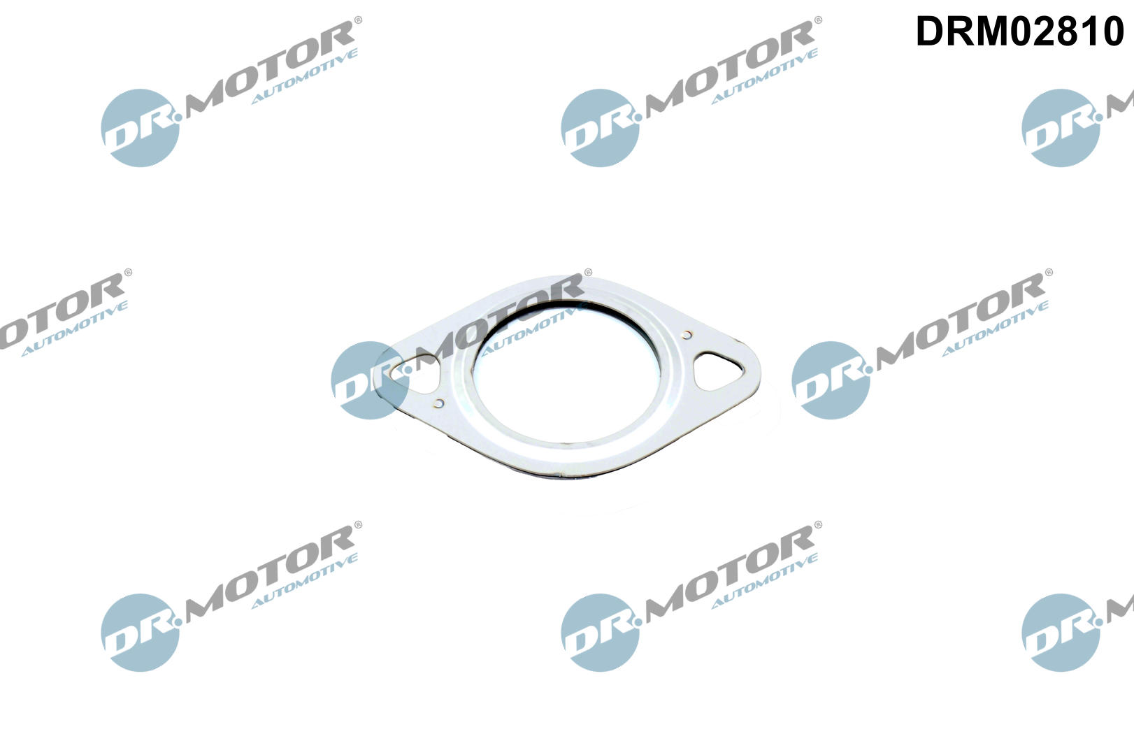 Dichtring, leiding EGR-klep Dr.Motor Automotive DRM02810