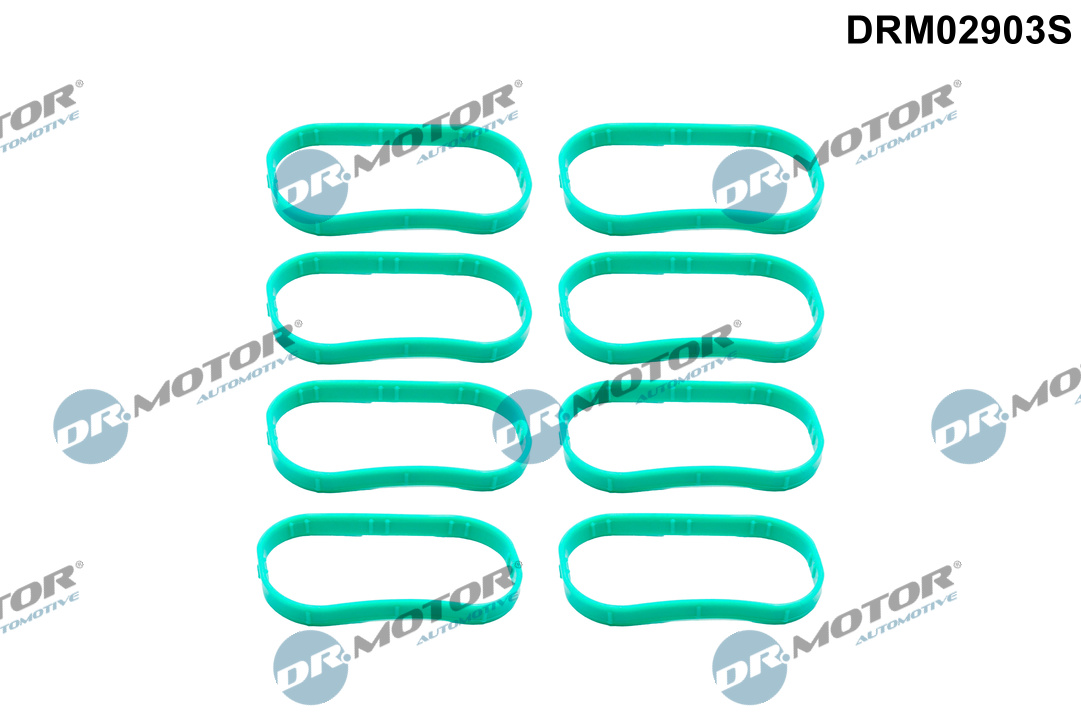 Pakkingset, inlaatspruitstuk Dr.Motor Automotive DRM02903S