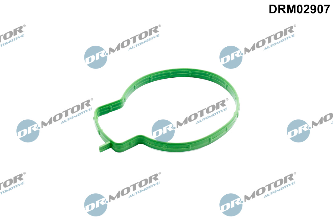 Pakking, smoorklepaansluiting Dr.Motor Automotive DRM02907