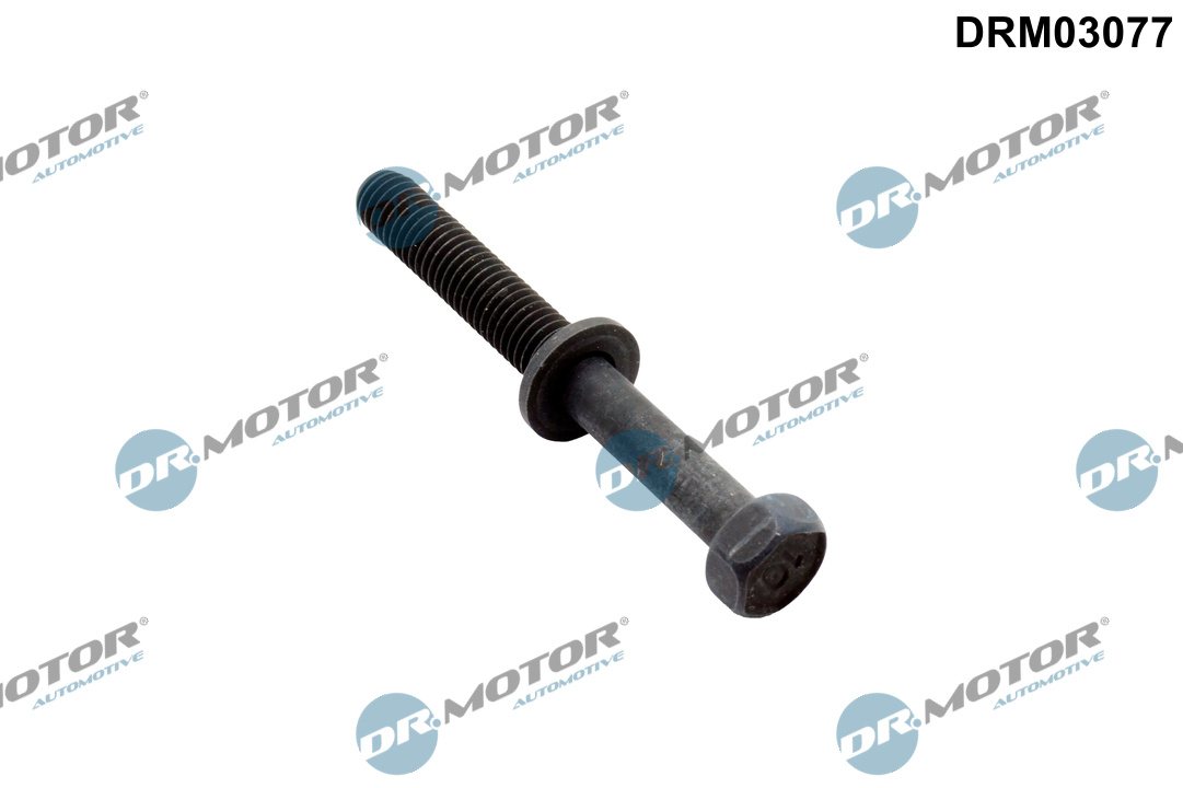 Schroef, inspuitstukhouder Dr.Motor Automotive DRM03077