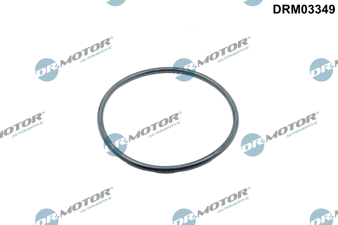 Pakking, inlaatspruitstuk omkasting Dr.Motor Automotive DRM03349