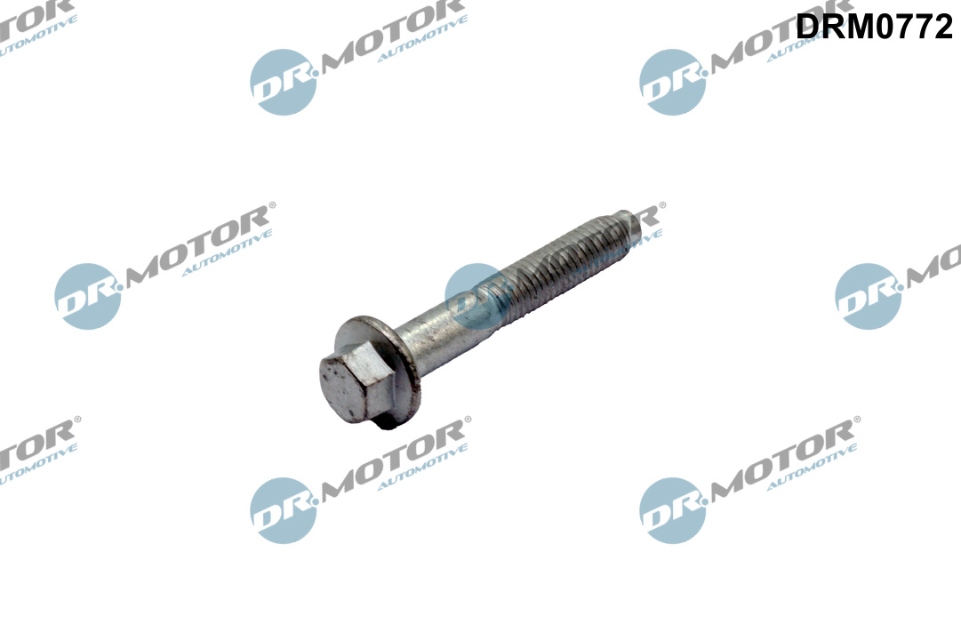 Schroef, inspuitstukhouder Dr.Motor Automotive DRM0772