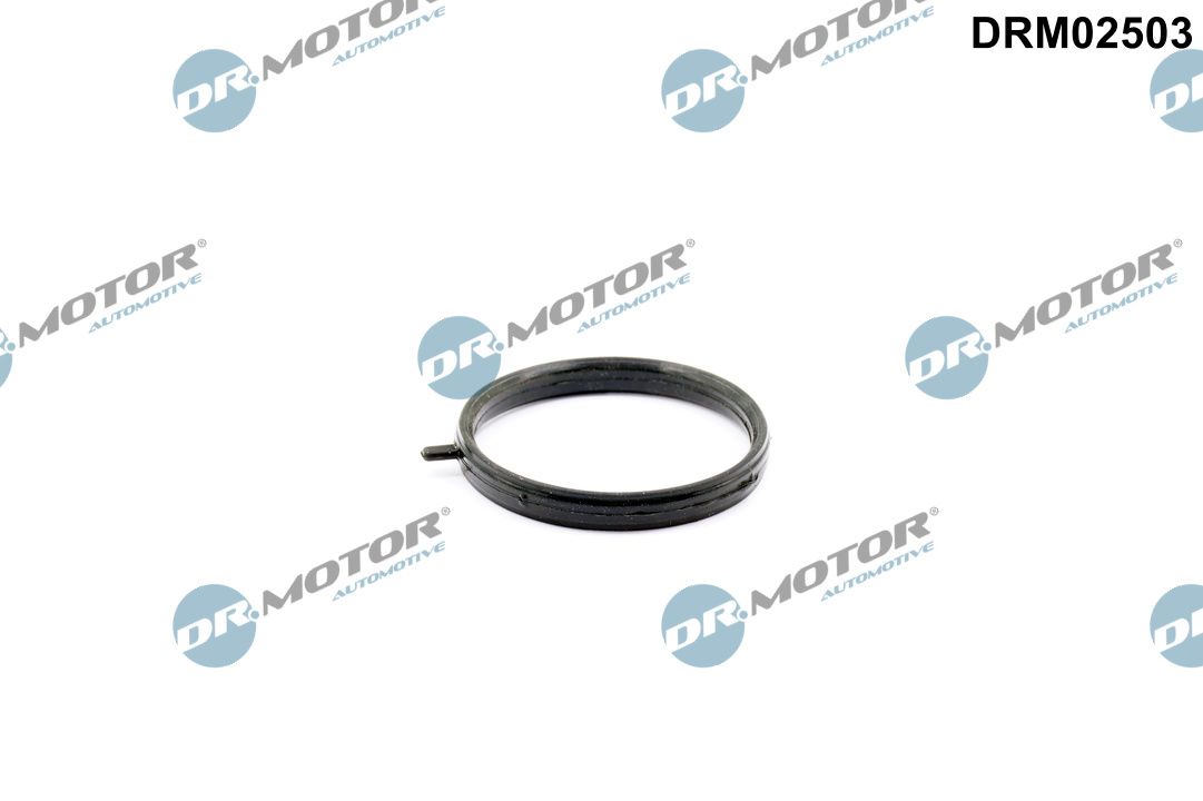Pakking, koelvloeistofpijp Dr.Motor Automotive DRM02503