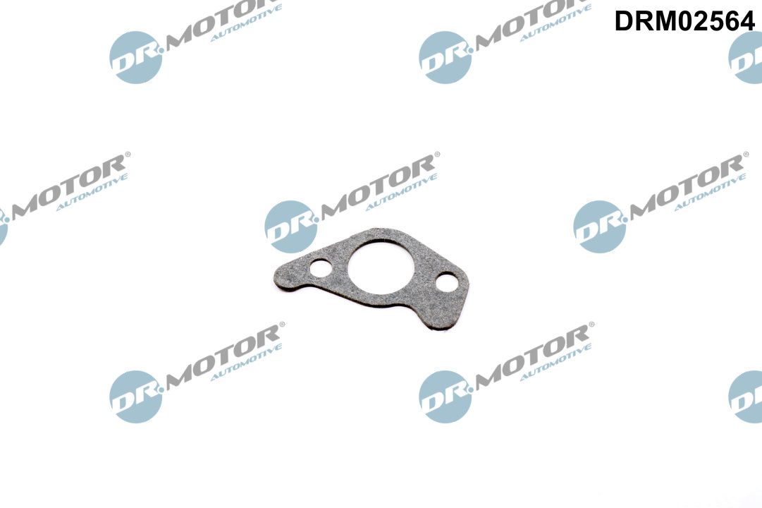 Pakking, oliepomp Dr.Motor Automotive DRM02564
