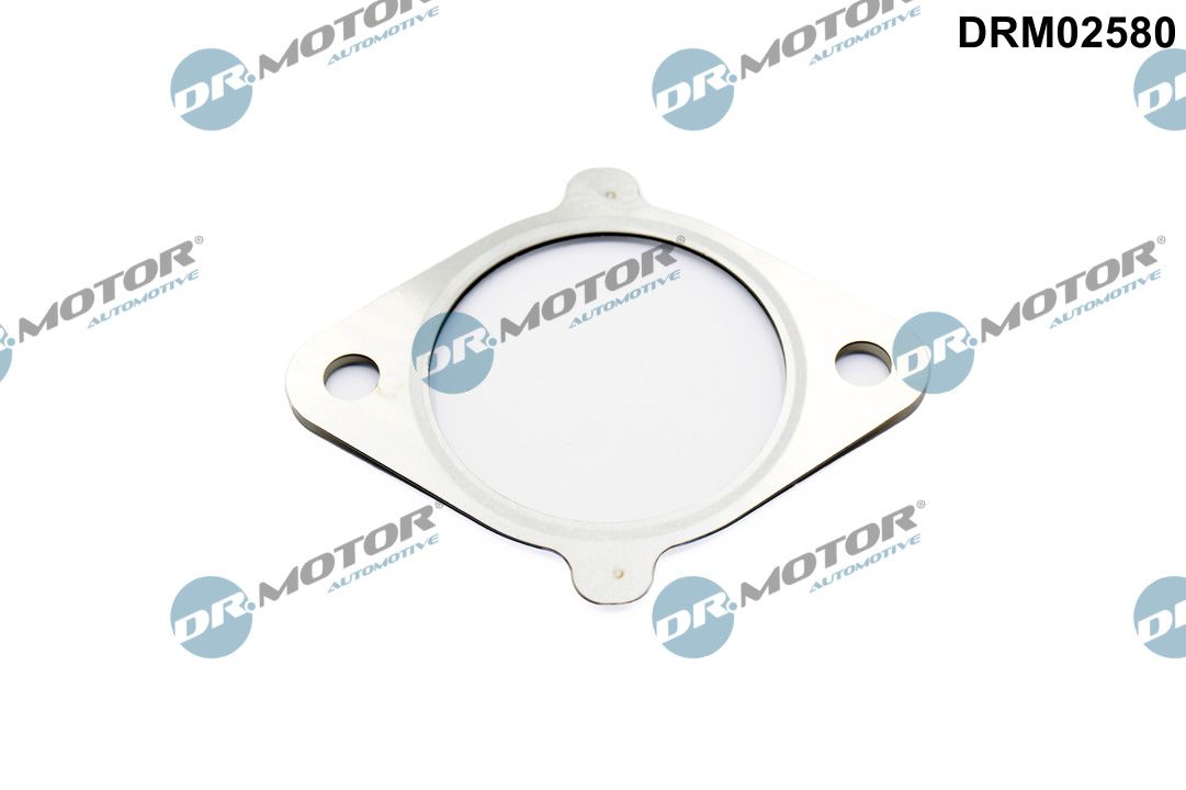 Afdichting, EGR-klep Dr.Motor Automotive DRM02580