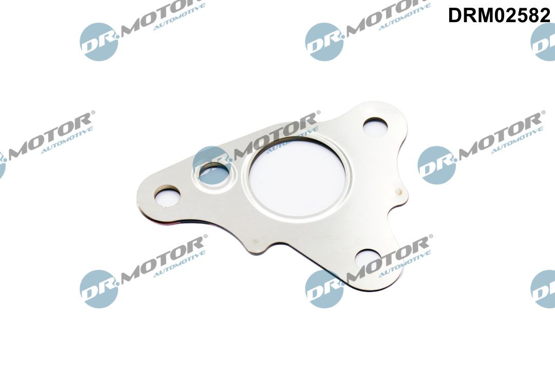 Dichtring, leiding EGR-klep Dr.Motor Automotive DRM02582
