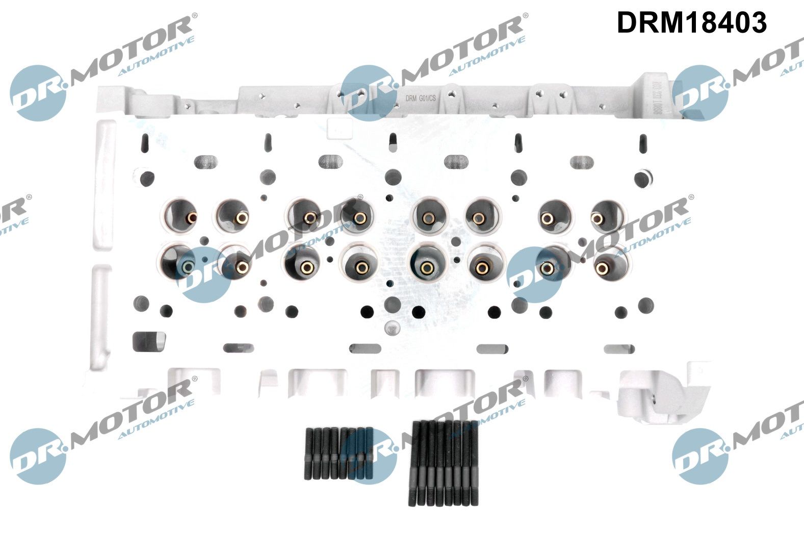 Dr.Motor Automotive Cilinderkop DRM18403