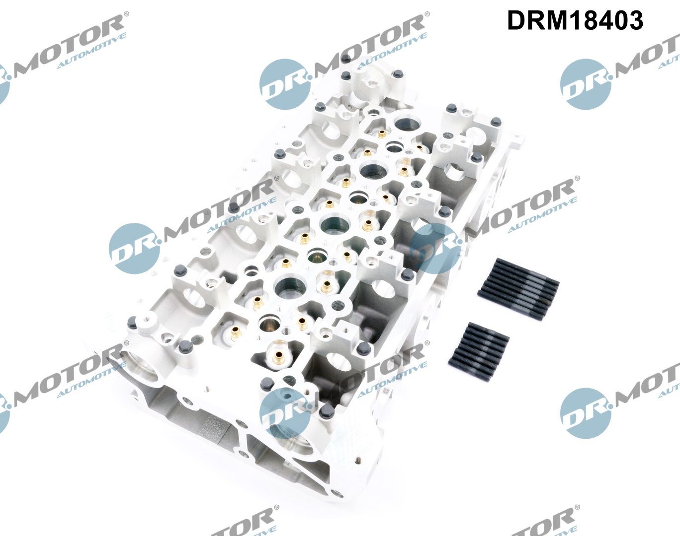 Dr.Motor Automotive Cilinderkop DRM18403