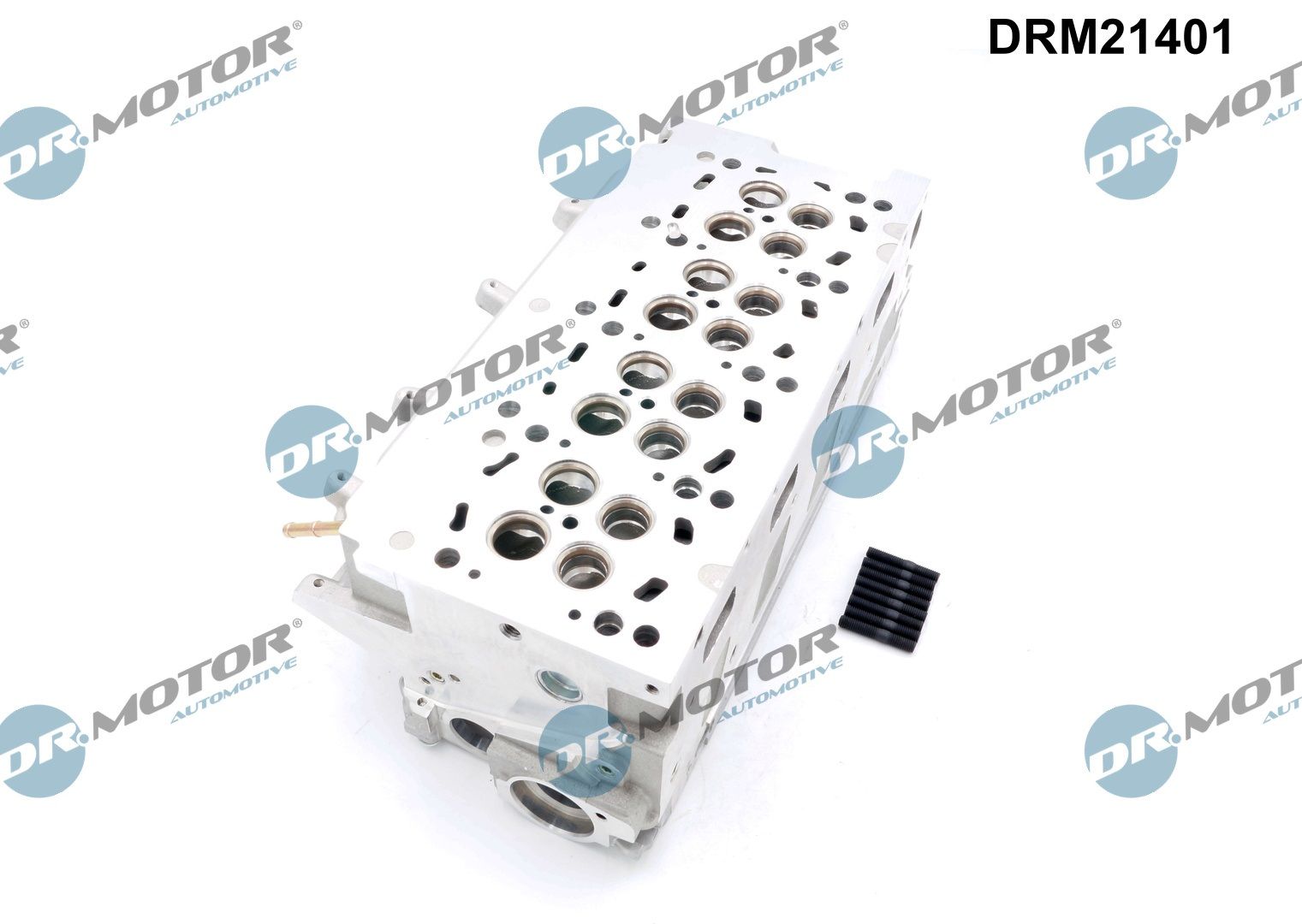 Dr.Motor Automotive Cilinderkop DRM21401