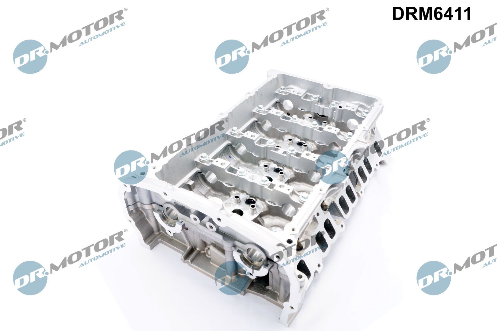 Dr.Motor Automotive Cilinderkop DRM6411