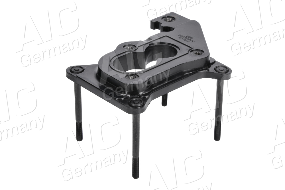 AIC Carburateur flens 51797