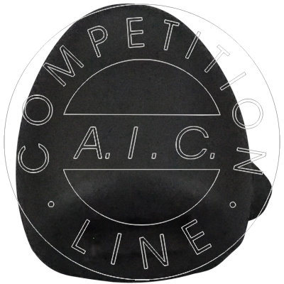 AIC Ruitensproeier pomp 57938