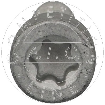 AIC Schroef 58143