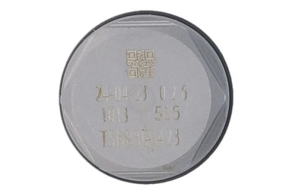 Engitech Drukbegrensingsklep, Common-Rail-System ENT260130