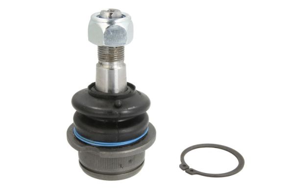 Fuseekogel Reinhoch RH03-0030