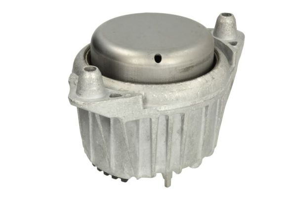 Reinhoch Motorsteun RH11-3108