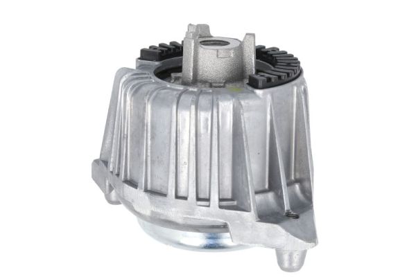 Reinhoch Motorsteun RH11-3118