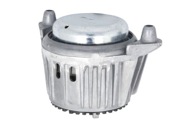 Reinhoch Motorsteun RH11-3118